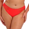 Elomi Slip Brésilien Salsa - Lingerie Grande Taille Chic 2 Elomi Slip Brésilien Salsa - Lingerie Grande Taille Chic -FITANCY Boutique cropped 1747383628 elomi slip bresilien salsa 3557152 6 65f172ef7948b 1140x1140