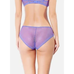 Huit Lingerie Eclatante Shorty - Elegant Stretch Lace Underwear -FITANCY Boutique eclatante shorty vieux rose 3627248 7647176 76 1140x1140