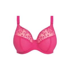ELOMI Ensemble CHARLEY Rose -FITANCY Boutique elomi charley uw plunge bra 36 gg 3631580 4 678f74e85faff 1140x1140