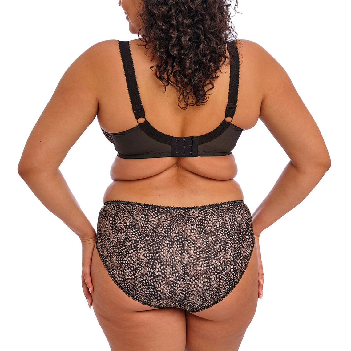 Elomi Culotte Morgan - Ébène | Lingerie Grande Taille Raffinée 6 Elomi Culotte Morgan - Ébène | Lingerie Grande Taille Raffinée – Image 4
