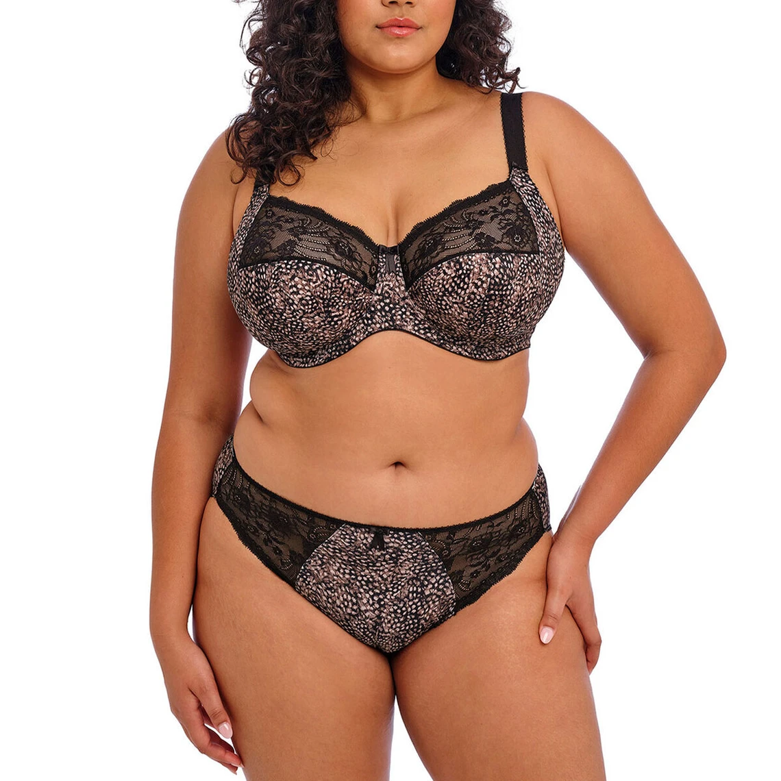 Elomi Culotte Morgan - Ébène | Lingerie Grande Taille Raffinée 4 Elomi Culotte Morgan - Ébène | Lingerie Grande Taille Raffinée – Image 2