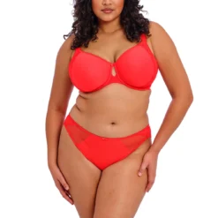 Elomi Slip Brésilien Salsa - Lingerie Grande Taille Chic -FITANCY Boutique elomi slip rouge 3557152 6 1140x1140