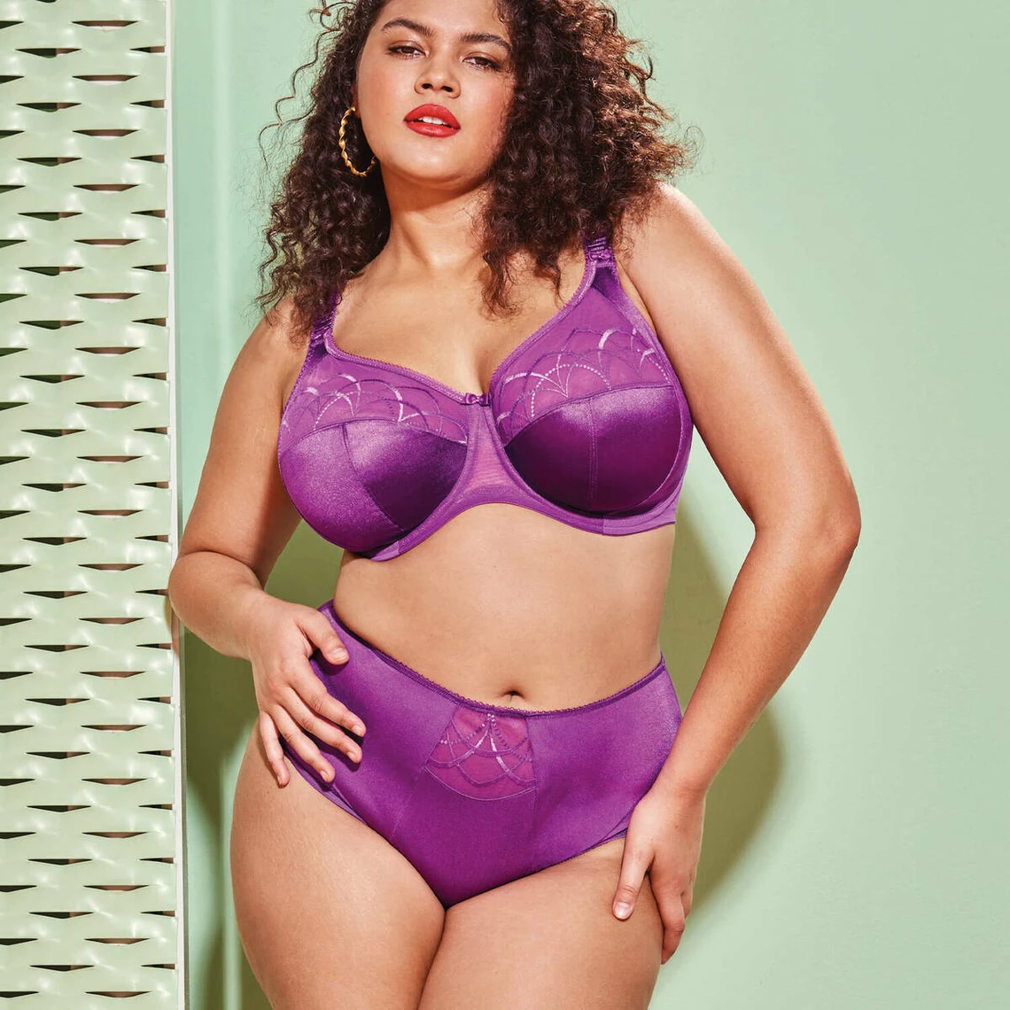ELOMI Slip Violet - Culotte Taille Haute Grande Taille 6 ELOMI Slip Violet - Culotte Taille Haute Grande Taille – Image 4