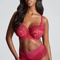 Panache Ensemble Allure Framboise -FITANCY Boutique panache slip allure 3645939 2 677d491f0de51 1140x1140