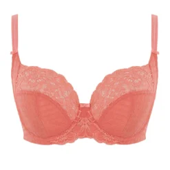 Panache Soutien-gorge Emboîtant Terracotta 11 Panache Soutien-gorge Emboîtant Terracotta -FITANCY Boutique panache soutien gorge emboitant terracotta envy 3648535 67924ded6d483 1140x1140