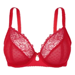 Ensemble Esmée Rouge -FITANCY Boutique sans complexe soutien gorge plongeant avec armatures 3592381 66784637d92f4 1140x1140