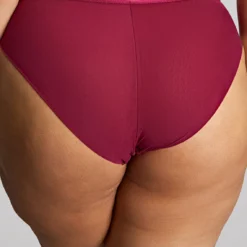 Ensemble Natalia Bordeaux -FITANCY Boutique sculptresse culotte taille haute sculptresse natalia 3645953 3 6793b355d592e 1140x1140