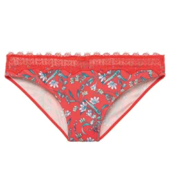 Pomm Poire Culotte Rouge : Sensualité et Confort en Dentelle Florale 11 Pomm Poire Culotte Rouge : Sensualité et Confort en Dentelle Florale -FITANCY Boutique slip rouge rouge 3439284 6686042 42 1140x1140