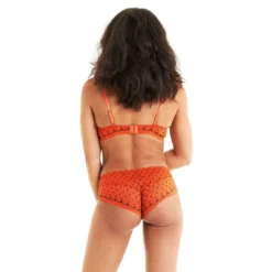 Pomm Poire Soutien-gorge Ampliforme Armatures Dentelle - Orange Pamplemousse 8 Pomm Poire Soutien-gorge Ampliforme Armatures Dentelle - Orange Pamplemousse -FITANCY Boutique soutien gorge ampliforme armatures orange 3387488 6352764 64 1140x1140