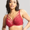 Panache Soutien Gorge Plongeant à Armatures - Rouge Floral et Sensuel 2 Panache Soutien Gorge Plongeant à Armatures - Rouge Floral et Sensuel -FITANCY Boutique soutien gorge plongeant armatures rouge 3439942 1 1140x1140